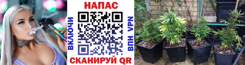 Виды наркоты Белый Гашиш Cocaine APVP Экстази Меф