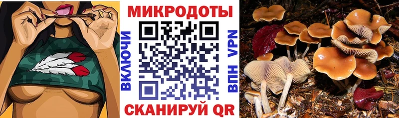Псилоцибиновые грибы Psilocybe  блэк спрут рабочий сайт  Белый  площадка Telegram  где купить наркоту 